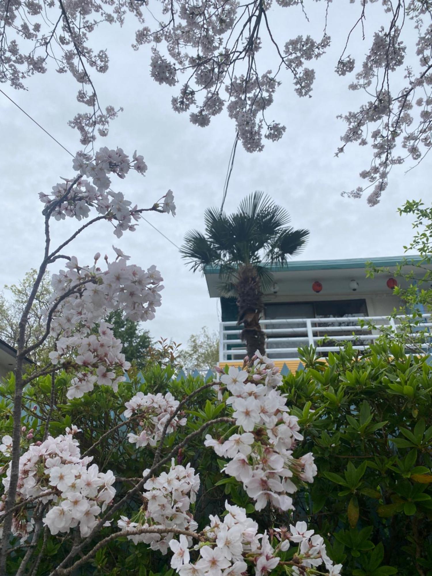 Hanamizuki Onsen Resort إيتو المظهر الخارجي الصورة