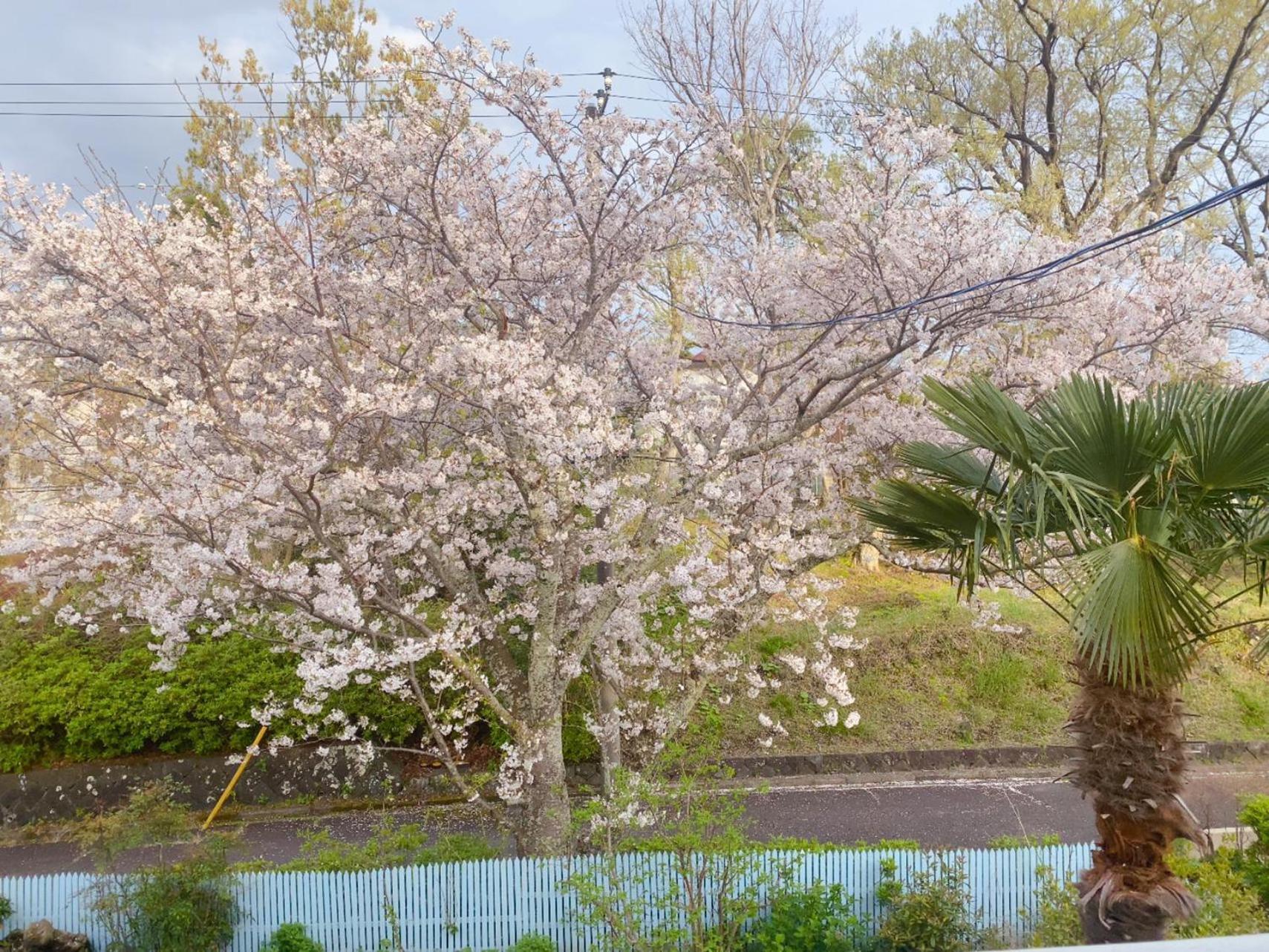 Hanamizuki Onsen Resort إيتو المظهر الخارجي الصورة