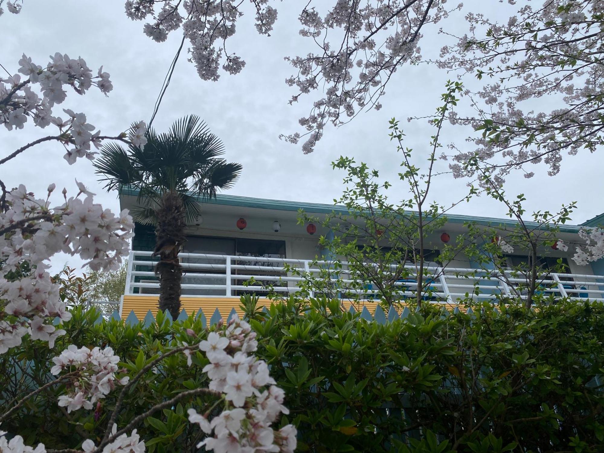 Hanamizuki Onsen Resort إيتو المظهر الخارجي الصورة