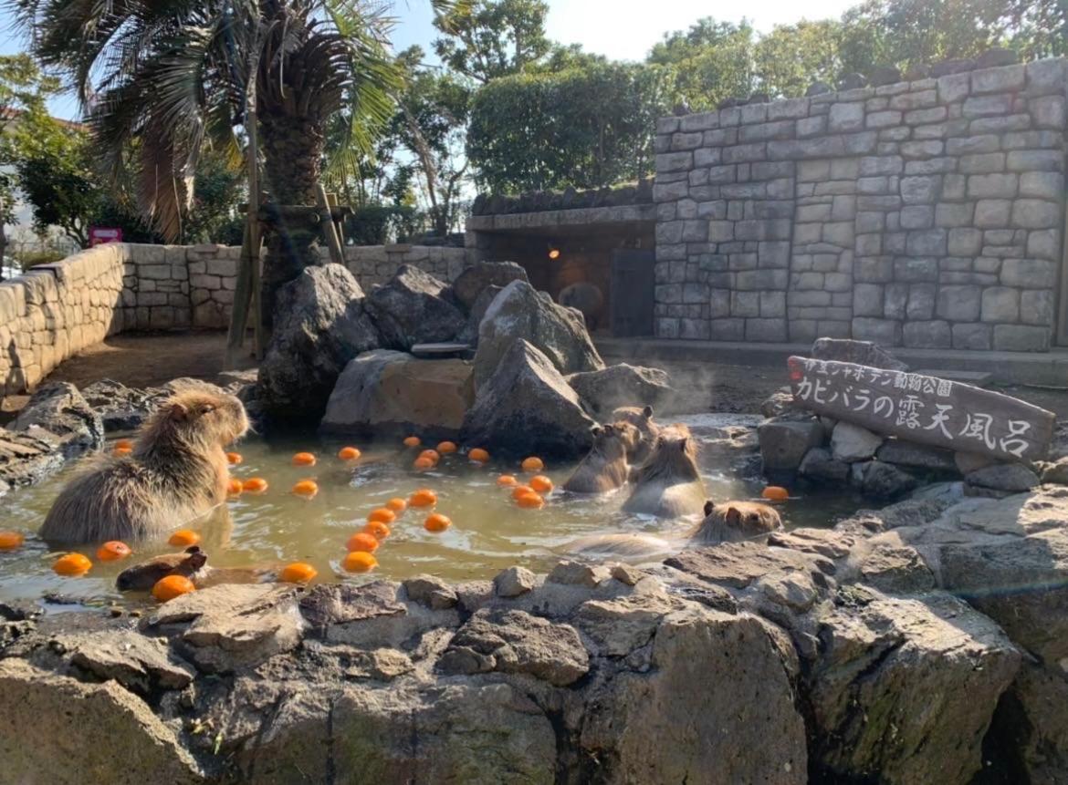 Hanamizuki Onsen Resort إيتو المظهر الخارجي الصورة
